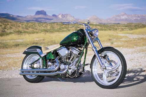 Bobbed Fender