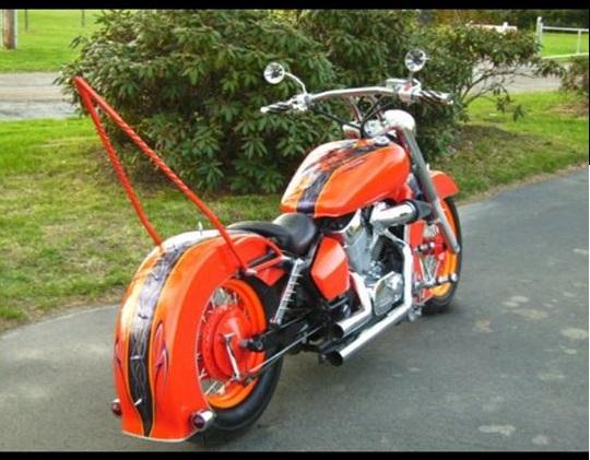 bear claw fender
