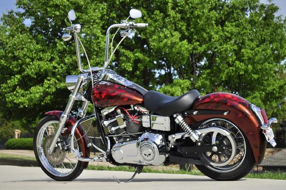 dyna custom fender